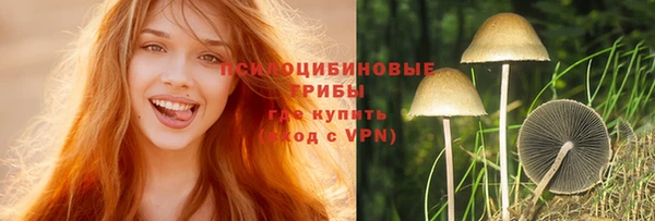 дмт Фёдоровский