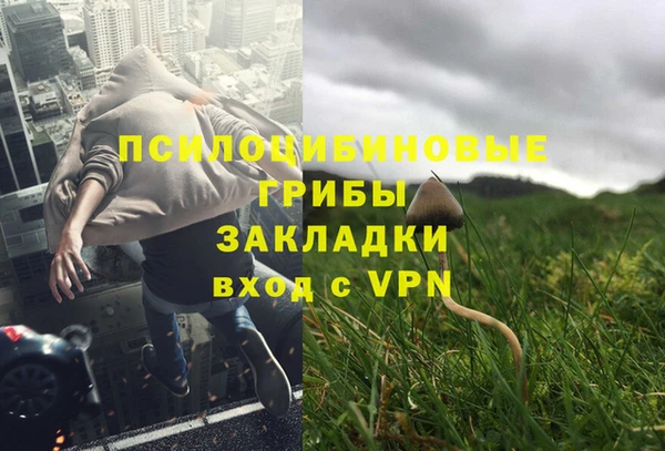 прущий лед Горно-Алтайск