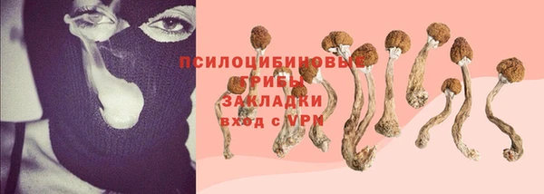 прущий лед Горно-Алтайск