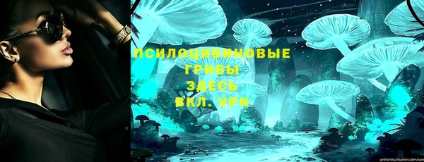 прущий лед Горно-Алтайск