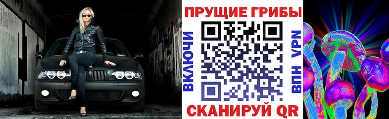 Псилоцибиновые грибы MAGIC MUSHROOMS  Заозёрный 